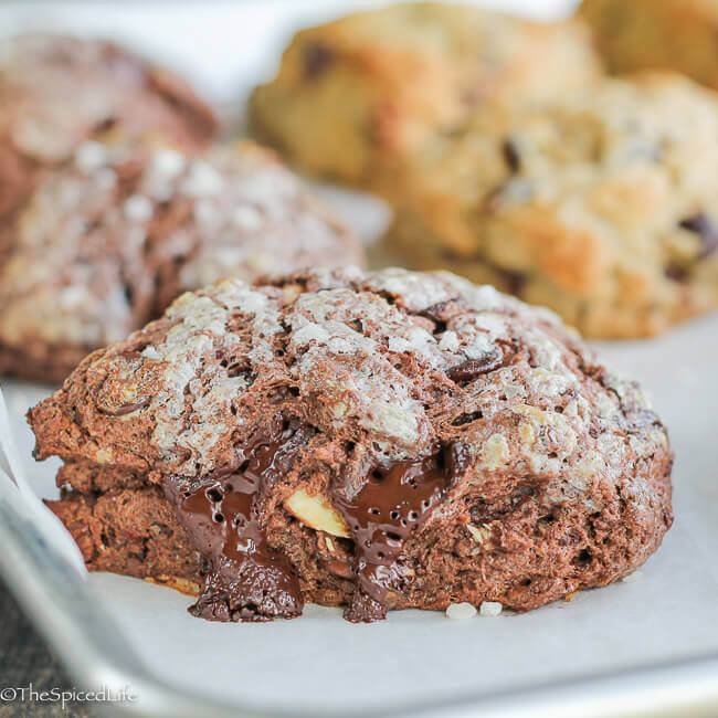 Chocolate Scones! Chocolate Chip Butterscotch and Quadruple Chocolate Scones are wonderful for dessert or as an afternoon snack! And so easy!