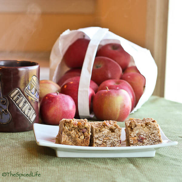 Pecan and Oat Streusel Topped Oatmeal Bars with Dried Apples and Cranberries