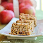 Pecan and Oat Streusel Topped Oatmeal Bars with Dried Apples and Cranberries