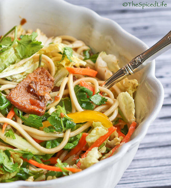 Asian Pork Noodle Salad--using the slow cooker!
