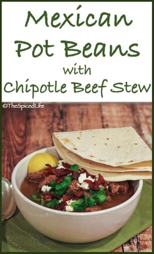 Chipotle Beef Stew on Mexican Pot Beans: Review of Mexico The Cookbook ...