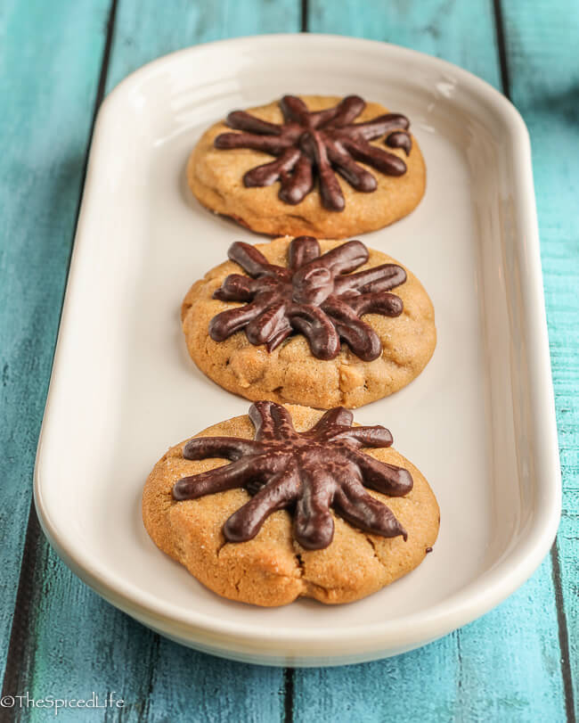 Chocolate Drizzled Peanut Butter Cookies--chewy, rich, delicious!